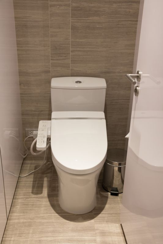 Modern Toilet and Bidet